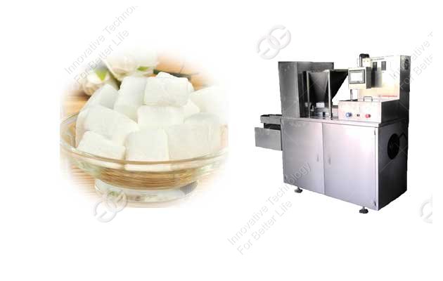 rice vermicelli machine